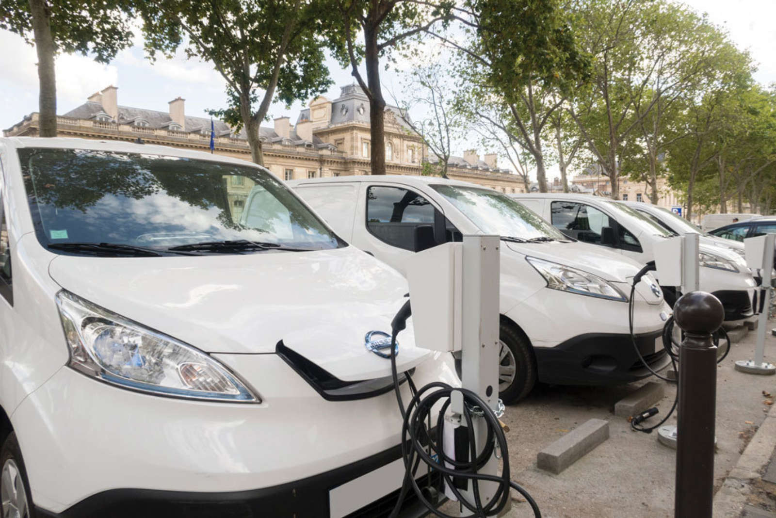 Row of white electric vans charging at pedestals on a tree-lined street